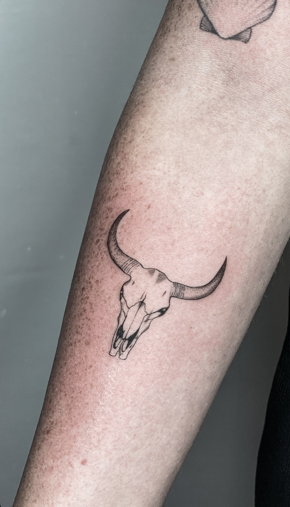 Stier Fineline Tattoo